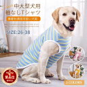 【楽天1位】春夏秋 中/大型犬 犬のシャツ 犬の服 ドッグウェア Tシャツ パーカー袖なし 通気性 お出掛け お散歩 汚れ予防 ベスト 柔らかい 犬用タンクトップ 紫外線 日焼け対策 皮膚保護 怪我傷口保護 男女用 抜け毛対策 部屋着 ネコポス送料無料!【ra31312】