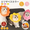 【楽天1位】【300円OFFクーポン有】