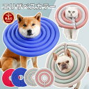 【500円OFFクーポン有】【楽天1位】