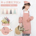 エプロン 子供 キッズ 三角巾セット エプロン+三角巾 2点セット おしゃれ DIY 三角巾 色落ちしない こども 男の子 女の子 男女兼用 ユニセックス キッ...