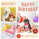 【楽天1位】2点セット！犬 誕生日 バースデー 帽子+よだれかけ かわいい 犬 服 スタイ ペットの誕生日会用品 犬用 猫用 小型犬 子犬 ハット 前掛け 春服 夏服 秋服 冬服 パーティー用品 記念撮影 HAPPY BIRTHDAY プレゼント ギフト 贈り物 ネコポス送料無料！【ra94726】