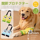 中大型犬用膝サポーター 犬用 関節プロテクター前足 犬服 関節保護 固定 リハビリ 肘当てリハビリ ひざ用老犬介護 介護用品怪我防止老犬介護 ペットケア ネコポ...
