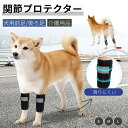 犬用膝サポーター 犬 サポーター 前足専用 後ろ足専用 1枚入 足根関...(4)