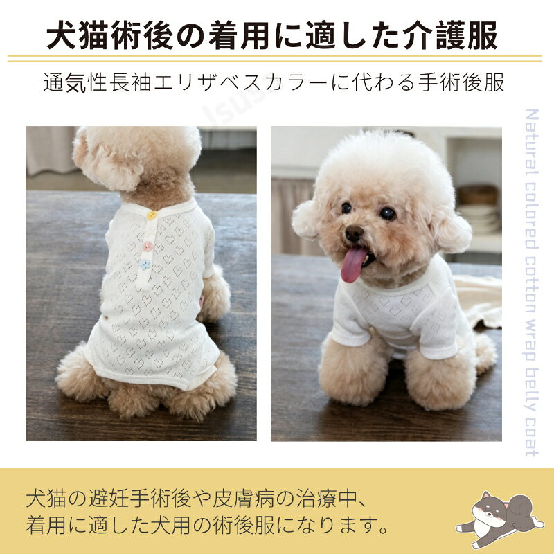 サンプル画像3