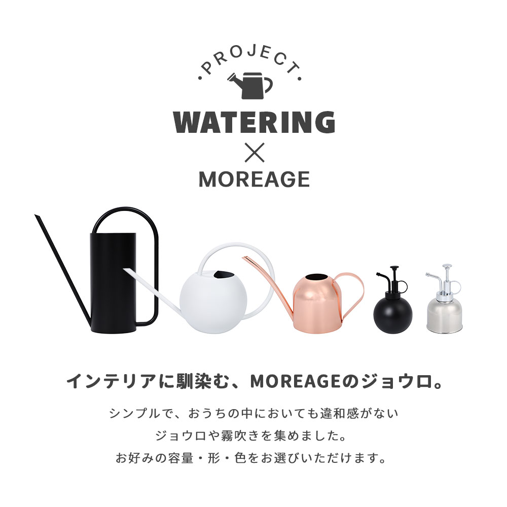 ���礦�� ������� ���ƥ�쥹 ���祦�� ���������� C/D ��6�� 900mL / 1000mL ���襤�� ����� ����ѥ��� ��鴶 ����� ���� ���� ǡ��Ϫ ���硼�� ���� �庹�� ���� ���硼�� ��Ϥ ��ޯ�� �����ǥ����� �̲��� ������� ���տ�ʪ �����ǥ˥�