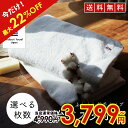 【SALE / 24%OFF】 今治タオル バスタオル 綿 100% 2枚 / 3枚 セット やわらか撚糸 ホワイト 白 バスタオル 今治 起毛 ふわふわ ふん...