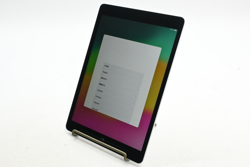 ����š�Apple iPad 10.2����� (��9����) Wi-Fi��ǥ� 256GB ����С� MK2P3J/A