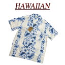 【2019春夏 7サイズ】 wu481 新品 ハイビスカス ...