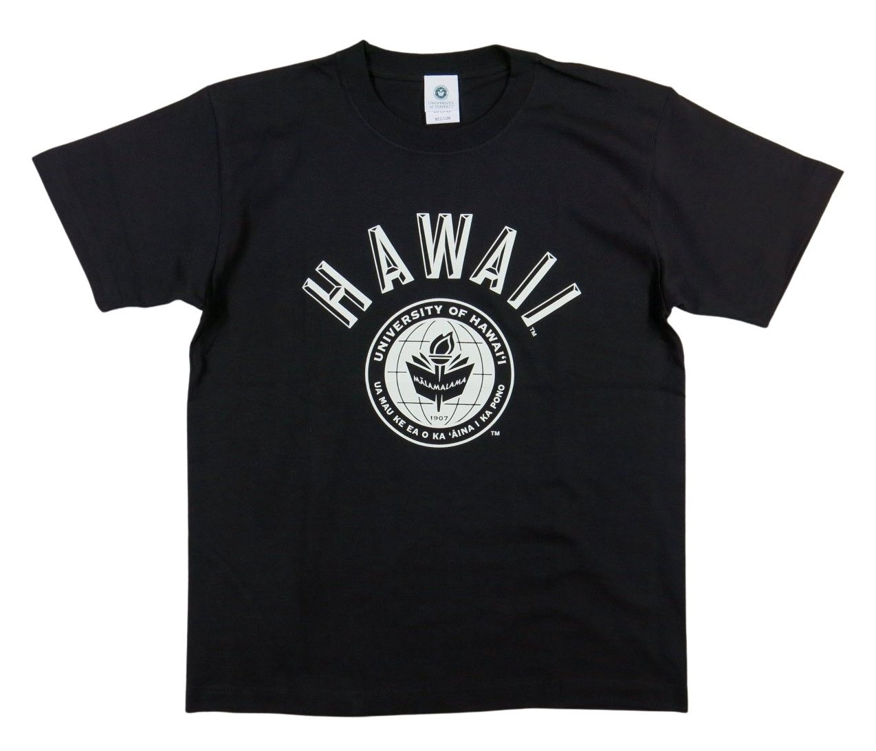 最安 半袖 Tシャツ フットボール ハワイ大学 レア tシャツの通販 大学