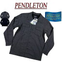 【定番 2色4サイズ】 ad102 新品 PENDLETON BOARD SHIRT REGULAR レギュラーフィット 長袖 オープンカラー ウールシャツ RA335-28347 メンズ ペンドルトン 無地 むじ ペンデルトン ボードシャツ 【smtb-kd】