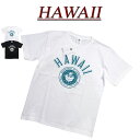 【2色3サイズ】 je531 新品 HAWAII ハワイ大学 カレッジプリント 半袖 Tシャツ HWUS-011 メンズ UNIVERSITY OF HAWAII S/S COLLEGE T-SHIRT 【smtb-kd】