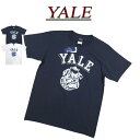  je552 新品 YALE イエール大学 カレッジプリント 半袖 Tシャツ YALE-027 メンズ YALE UNIVERSITY S/S COLLEGE T-SHIRT 