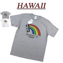 【2色3サイズ】 je562 新品 HAWAII ハワイ大学 カレッジプリント 半袖 Tシャツ HWUS-025 メンズ UNIVERSITY OF HAWAII S/S COLLEGE T-SHIRT 【smtb-kd】