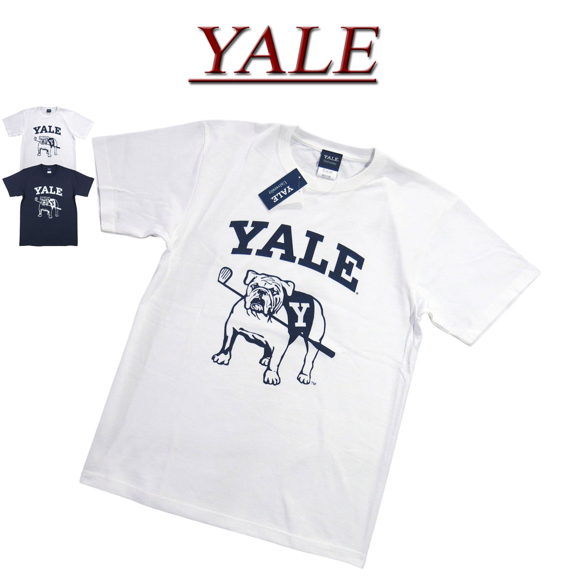 【2色4サイズ】 jg281 新品 YALE イエール大学 カレッジプリント 半袖 Tシャツ YALE-086 メンズ YALE UNIVERSITY S/S COLLEGE T-SHIRT 【smtb-kd】