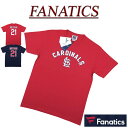  jg361 新品 FANATICS ST.LOUIS CARDINALS ヌートバーモデル ネーム & ナンバープリント 半袖 Tシャツ ML01-23SS-0048 メンズ ファナティクス セントルイス・カージナルス MLB OFFICIAL WEAR NOOTBAAR WINNING STREAK T-SHIRT ティーシャツ 