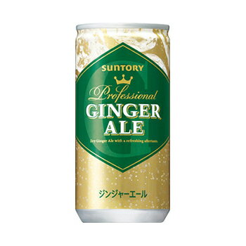 サントリー ジンジャーエール 200ml×30本入/2ケース　缶〔炭酸飲料　ジンジャー　生姜〕