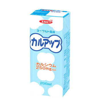 エルビー カルアップ　200ml×24本入/2ケース 紙パック〔乳酸 カルシウム ヨーグルトLB えるびー ミリパック 〕