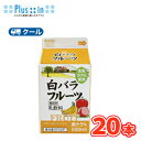 白バラ フルーツ 【500ml×20本】 クール便/乳飲料 ミルク フルーツ fruit