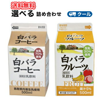 白バラ　コーヒー・フルーツ選べるセット2種類×5本【500ml×10本入】クール便　紙パック