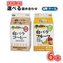 白バラ コーヒー・フルーツ選べるセット2種類×3本【500ml×6本入】クール便 紙パック
