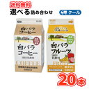 白バラ コーヒー・フルーツ選べるセット2種類×10本【500ml×20本入】クール便 紙パック