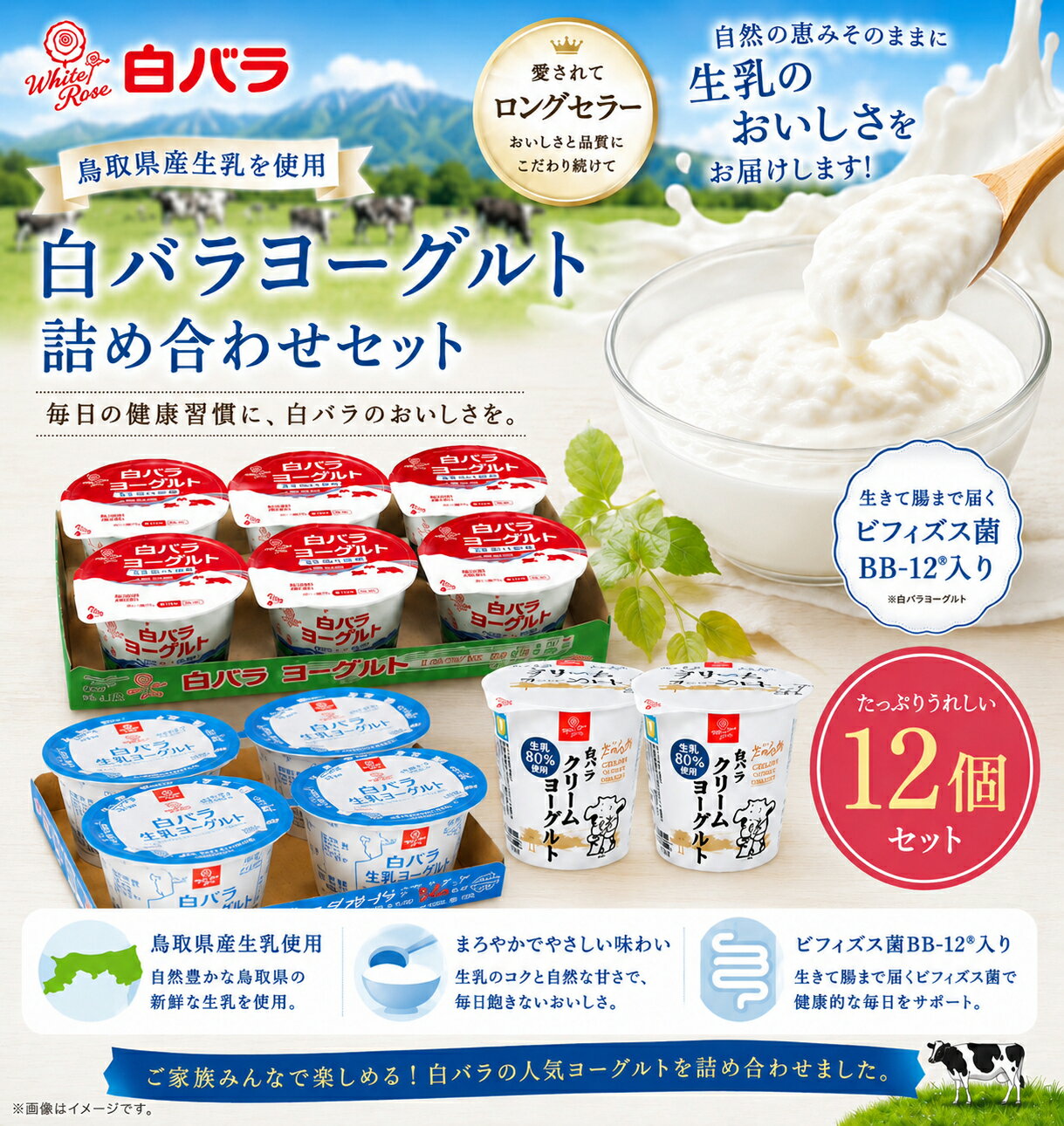 白バラ　ヨーグルト詰め合わせセット クール便 ギフト クリームヨーグルト/生乳ヨ...