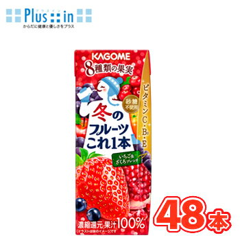 カゴメ 冬のフルーツこれ一本 いちご＆ざくろブレンド 200ml × 24本入/2ケース 紙パック〔いちご 苺 ざくろ ビタミンC KAGOME 季節限定〕