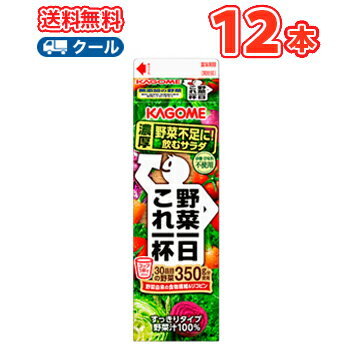 送料無料 カゴメ 野菜一日これ一杯 ホームパック用 1L紙パック 12本入 【クール便】 KAGOME 野菜1日これ1本 かごめ 野菜1日これ1本 トマトミックス まとめ買い ホテレス用 ホテル用 レストラン用 業務用 業務利用 大容量 1000ml 1リットル紙パック 野菜ジュース