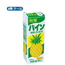 飛騨パイン　【180ml×24本入】 クール便　紙パック/ 