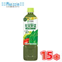 伊藤園 充実野菜 緑の野菜ミックス PET 740g×15本入 (野菜ジュース)〔大容量 野菜ジュース 鉄分じゅうじつやさい ほうれん草 りんご〕