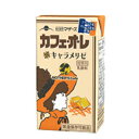 らくのうマザーズ　カフェ・オ・レ　キャラメリゼ 　 250ml×24本入×2ケース　紙パック〔九州 熊本　阿蘇 コーヒー　キャラメル　カフェオレ　乳飲料 牛乳〕