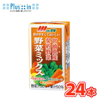 南日本酪農協同 デーリィ 野菜ミックス 125ml×24本入 九州 南日本酪農協同デーリィ 常温保存 ロングライフ