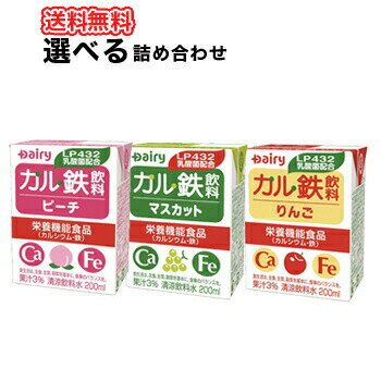 南日本酪農協同 デーリィ カル鉄飲料 マスカット ピーチ りんご よりどり選べる2ケース 200ml各種 24本入/2ケース 紙パックセット 送料無料 鉄分