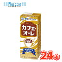 雪印 メグミルク カフェ・オ・レ【200ml×12本入】×2ケース紙パック 〔メグミルク カフェオレ 乳製品 コーヒー〕|詳細画像