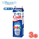 雪印 メグミルク すっきりCa鉄【1000ml×3本入】 クール便 〔雪印 すっきりCa鉄 クール便 乳製品 牛乳 カルシウム〕