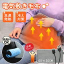 電気毛布 電熱 ひざ掛け 肩掛け ブランケット 冬用 暖かい USB式 自動電源オフ 丸洗い可 防寒対策 省エネ 節電 オフィス 冷え対策 おしゃれ