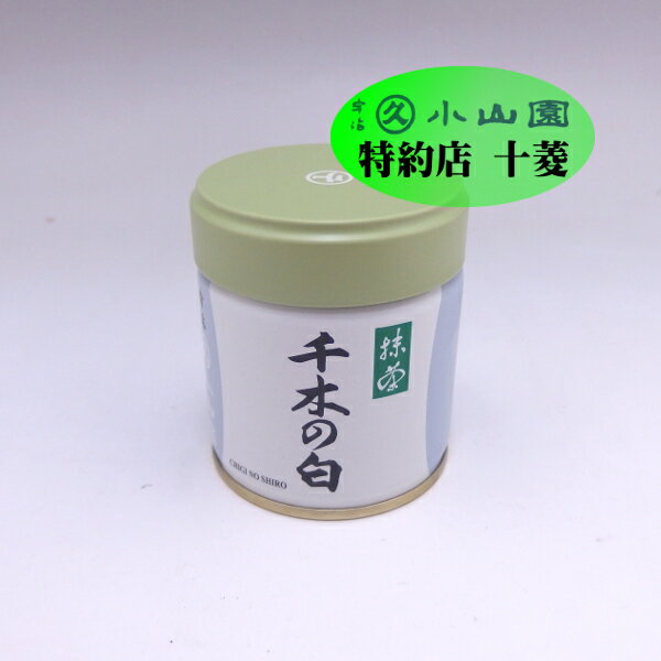抹茶 千木の白（ちぎのしろ） 40g缶 / 薄茶 緑茶 粉末 宇治抹茶