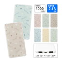 (5/9 20:00〜5/16 01:59 15%OFFクーポン配布) 【PSE適合品】Disney・PIXAR USB typeC typeA モバイルバッテ...