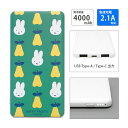 (5/9 20:00〜5/16 01:59 15%OFFクーポン配布) 【PSE適合品】ミッフィー MIFFY FRUITS モバイルバッテリー 2.1A 40...