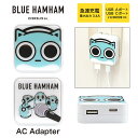 (5/9 20:00〜5/16 01:59 15%OFFクーポン配布) ブルーハムハム AC アダプタ USB コンセント Aポート Cポート 3.4A 2台同...