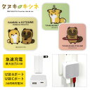 (5/9 20:00〜5/16 01:59 15%OFFクーポン配布) タヌキとキツネ AC アダプタ USB コンセント Aポート Cポート 3.4A 2台同...