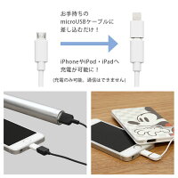 Lightning/ライトニング/アイフォン6/iPhone6s/iPhone5s/iPhone5c/iPodnano7/iPodtouch5/iPadmini/iPadair/充電