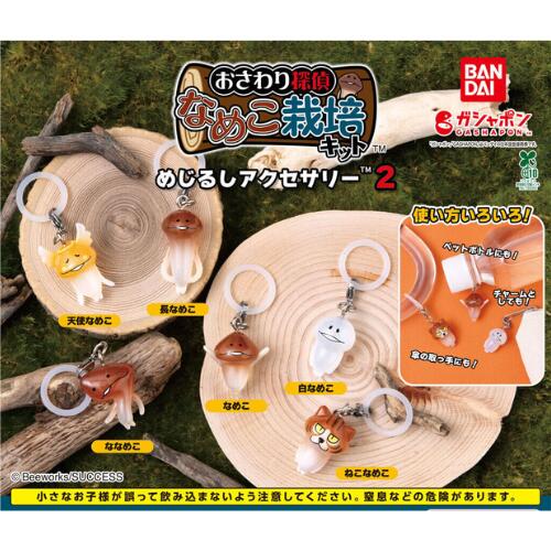 楽天市場】なめこ 栽培 キットの通販