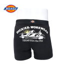 ★SALE価格20%OFF★【Dickies】DK Texas mountain/全2色