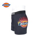 ★SALE価格10%OFF★【Dickies】DK Fire/全2色