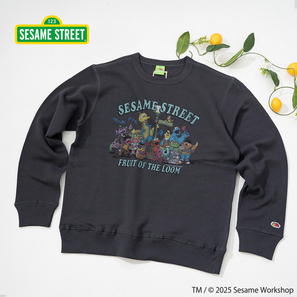 【FRUIT OF THE LOOM】SESAMESTREET×FTL ロングスリーブ甘編 イラスト プルオーバートップス A/全2色