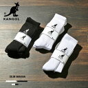 sSALEi10%OFFtyKANGOLzJS[ LADY'S CREW SOCKS 3P/S3FC \bNX pbN\bNX fB[X v[g Mtg zCg ubN O[  