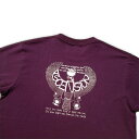 半袖Tシャツ「Falcon」メンズ シルクスクリーン プリントTシャツ T-shirt ライジングサン アウトドア outdoor 野外フェス エジプトの神 登山 トレッキング ホルス as-403