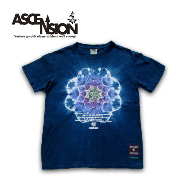 ASCENSIONʥ󥷥T