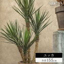 リアル フェイクグリーン 大型 「ユッカ 155cm シルカ（Silk-ka）」 ユッカ 人工 観葉 植物 おしゃれ 人工観葉植物 樹木 インテリアグリーン 観葉植物 フェイク グリーン リビング インテリア 室内 木 大型観葉植物 人工植物 大きい オフィス 屋内 青年の木